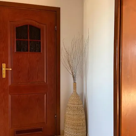 Apartament Cytryn דירה זקופאנה