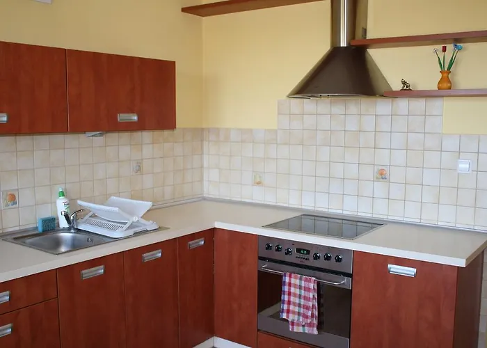 Apartament Cytryn דירה זקופאנה